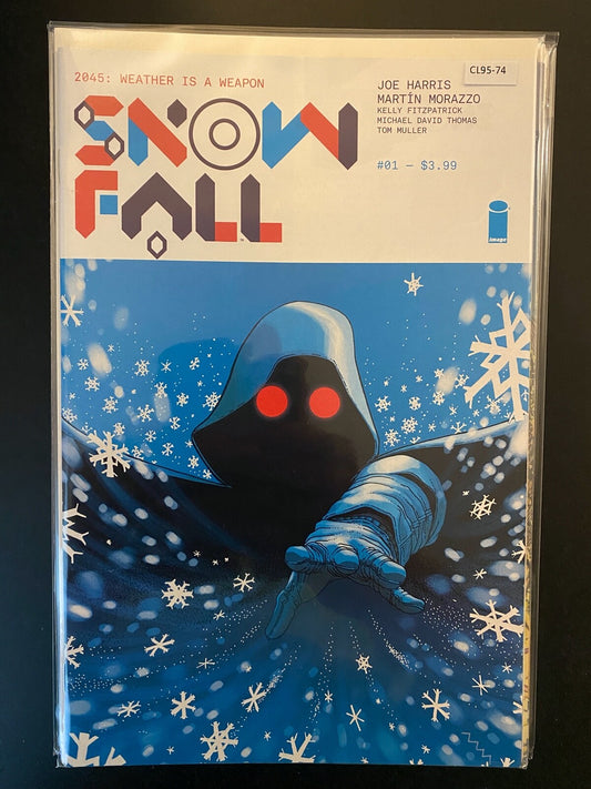 SNOW FALL #1